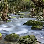 Entre Os Rios - Y Enoturismo Летний дом