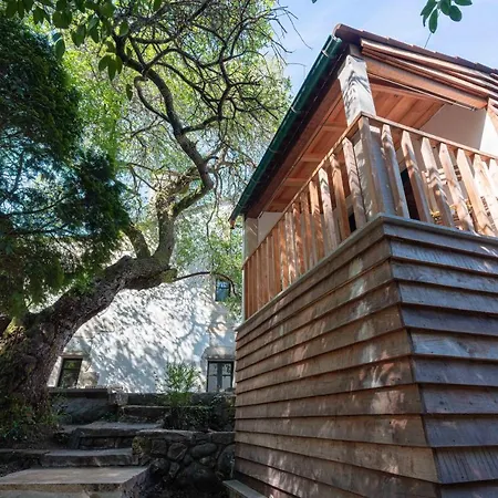 乡村民宿 Entre Os Rios - Y Enoturismo