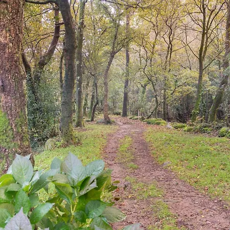 Entre Os Rios - Y Enoturismo * 卡拉米尼亚尔镇