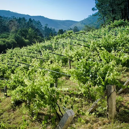 乡村民宿 Entre Os Rios - Y Enoturismo 卡拉米尼亚尔镇