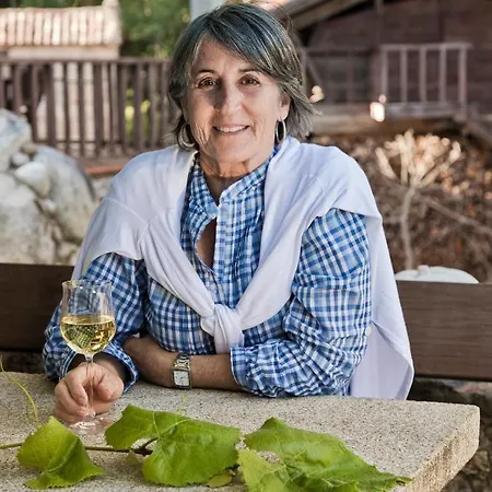 乡村民宿 Entre Os Rios - Y Enoturismo *