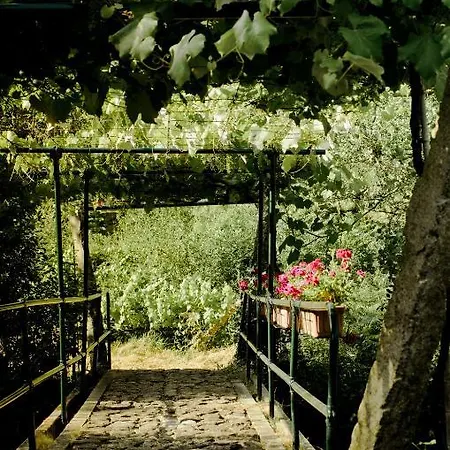 Entre Os Rios - Y Enoturismo 乡村民宿 *