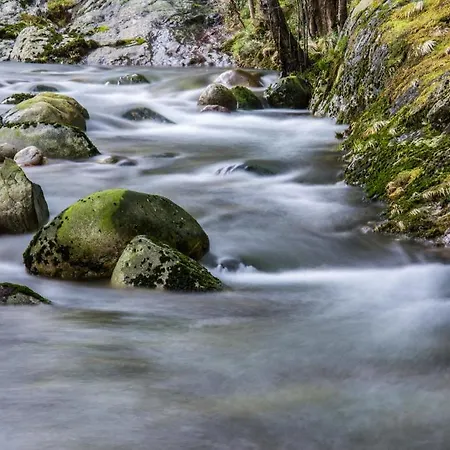 Entre Os Rios - Y Enoturismo * 卡拉米尼亚尔镇